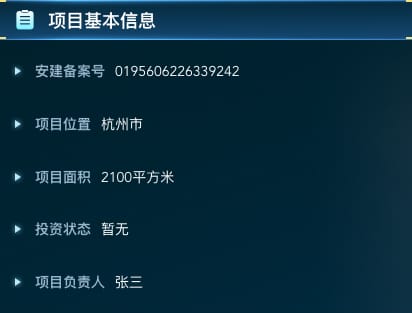 项目基本信息