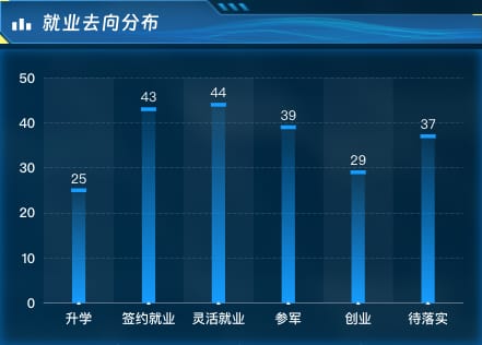 就业去向分布