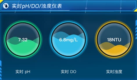 实时 pH / DO / 浊度 仪表