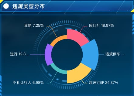 违规类型分布