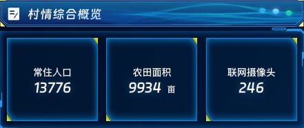 村情综合概览