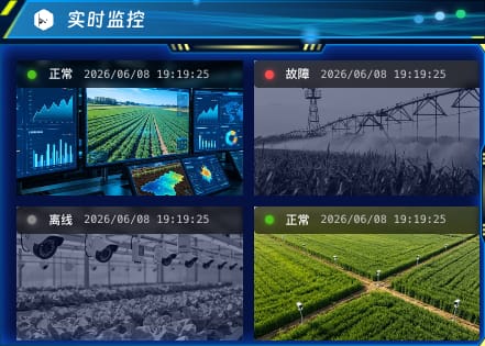 实时监控