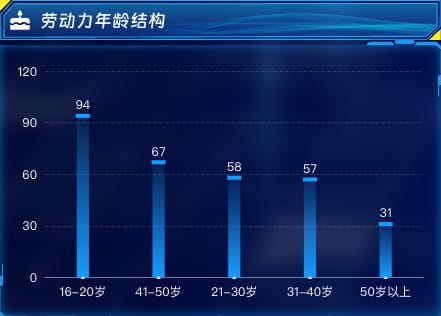 劳动力年龄结构