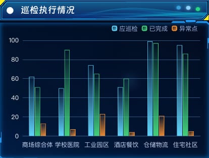 巡检执行情况