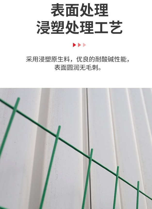 河北省沧州市南皮县双边丝护栏网生产厂家