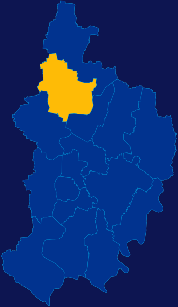 echarts南阳市新野县geoJson地图区域闪烁
