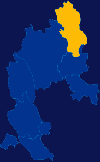 echarts佛山市南海区geoJson地图指定区域高亮