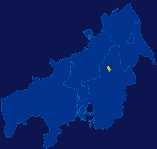 echarts佛山市高明区geoJson地图区域闪烁