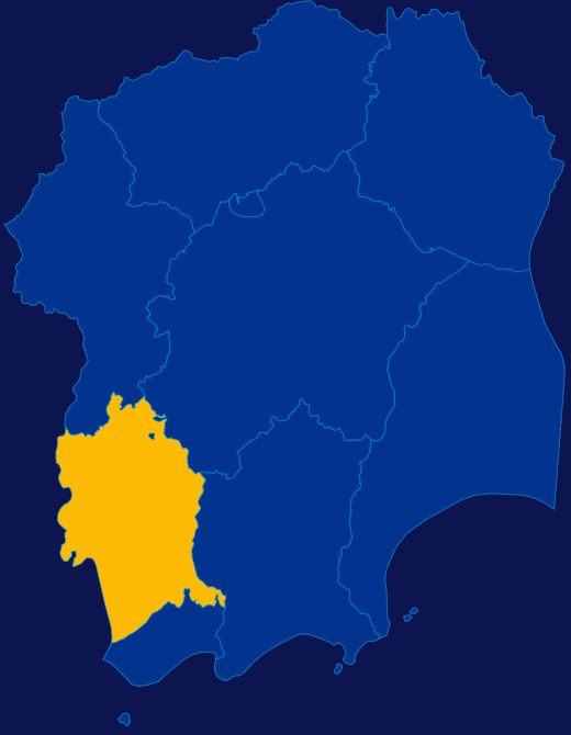 echarts阳江市阳西县geoJson地图区域闪烁