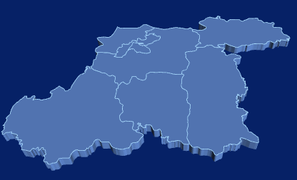 vue echarts实现3d地图效果实例