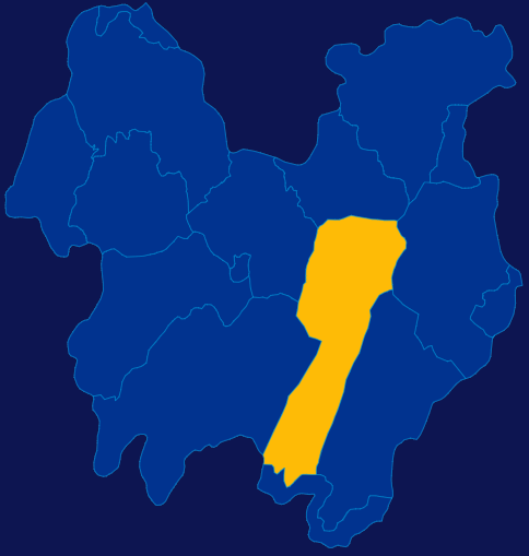 echarts咸宁市通城县geoJson地图指定区域高亮