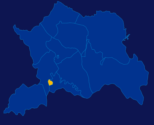 echarts襄阳市宜城市geoJson地图区域闪烁