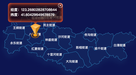 echarts沈阳市苏家屯区geoJson地图根据经纬度显示自定义html弹窗