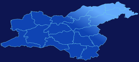 echarts沈阳市法库县geoJson地图全局颜色渐变