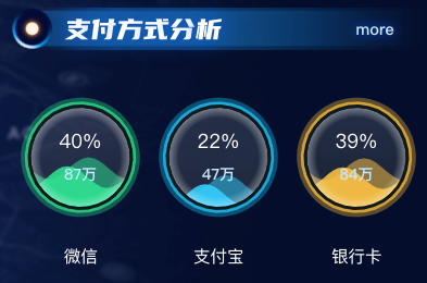 支付方式分析