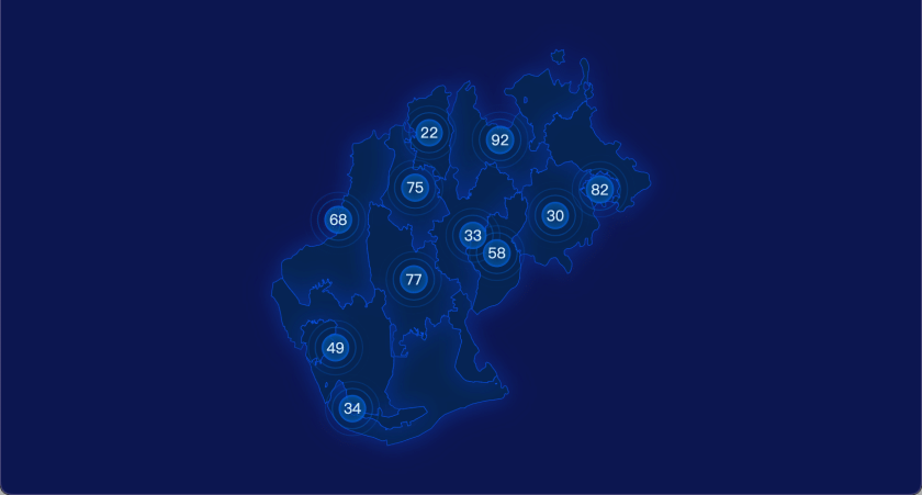 11 echarts 武汉市新洲区geoJson地图圆形波纹状气泡图