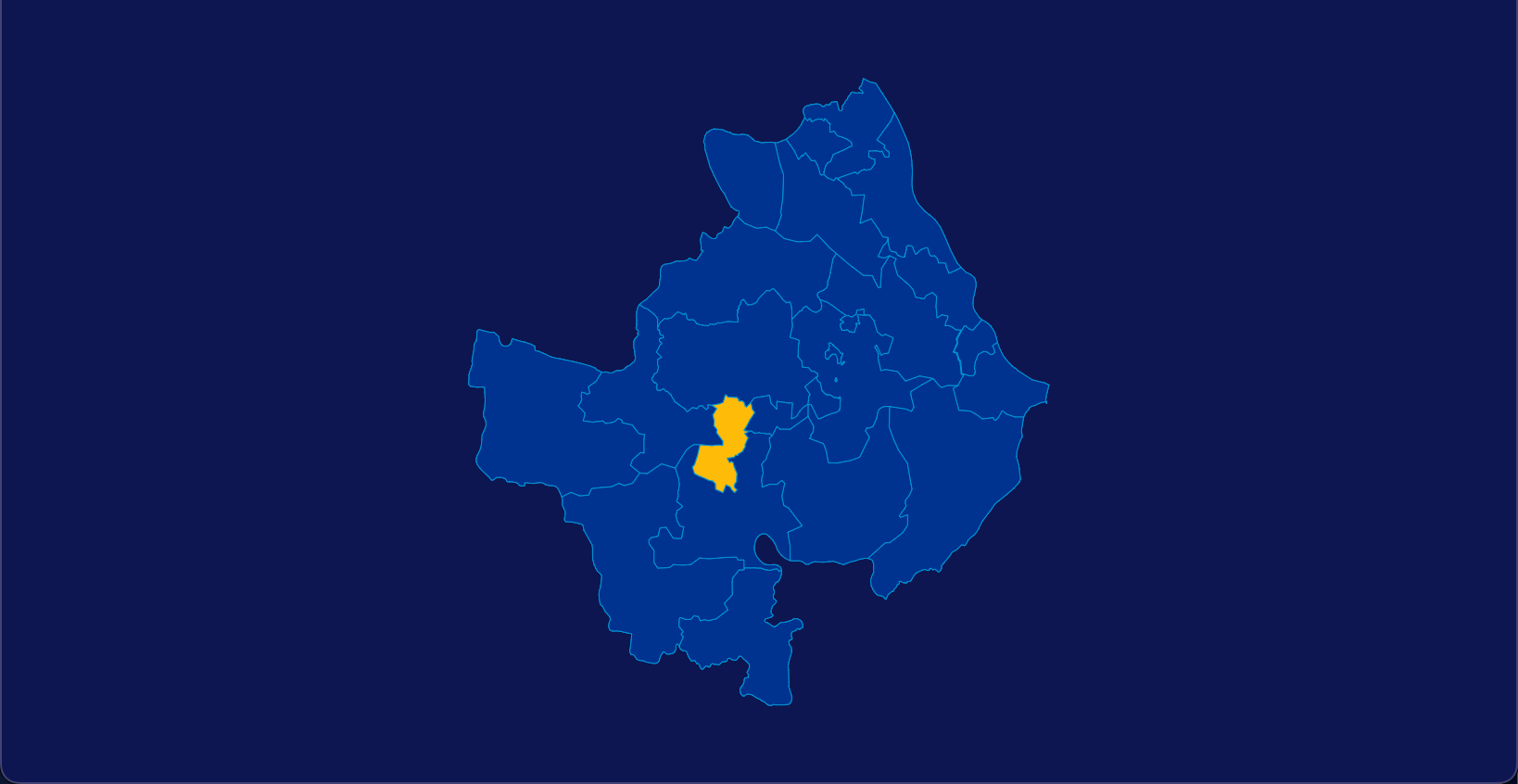 16 echarts 黄石市阳新县geoJson地图指定区域高亮