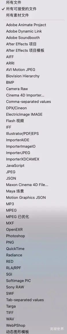 ae支持的导入文件格式